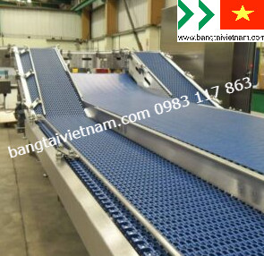 Băng tải Belt