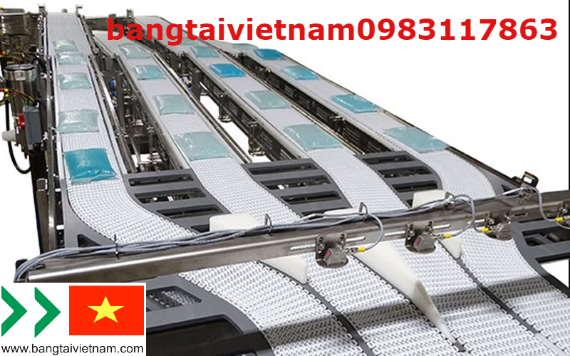 băng tải đặc biệt