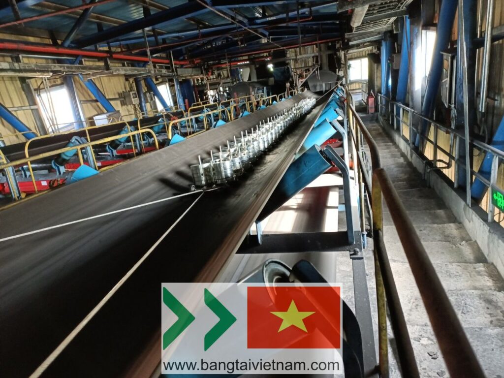 Cân băng tải hai số nhiệt điện Thăng Long