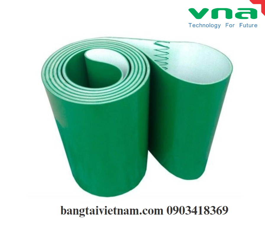 Cung cấp băng tải Belt