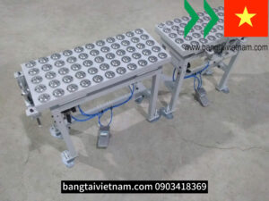 Cung cấp băng tải con lăn bi cầu tại Bắc Giang